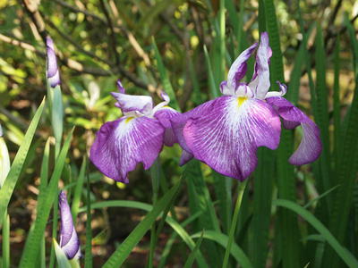 ϥʥ祦֡2010/06/11