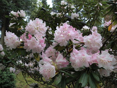 㥯ʥ 2012/05/01