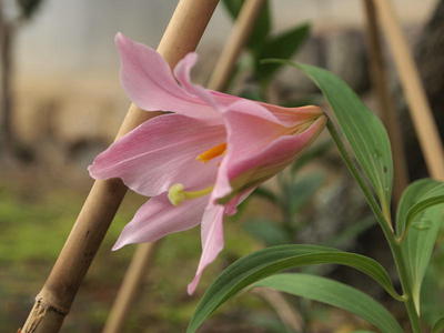 ҥ᥵ʥȥ 2012/05/06