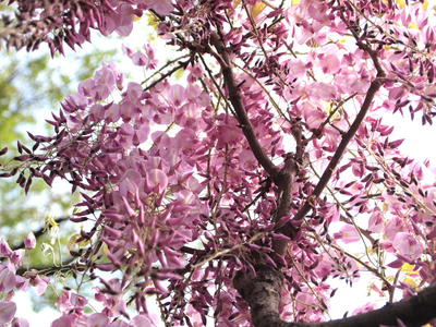 ե 2012/05/07