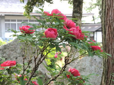 ܥ 2012/05/07