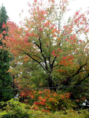 ϥʥΥ 2012/10/28