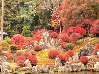 ɥ 2012/11/11