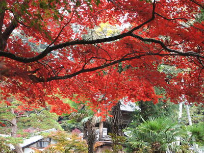ߥ 2012/11/11